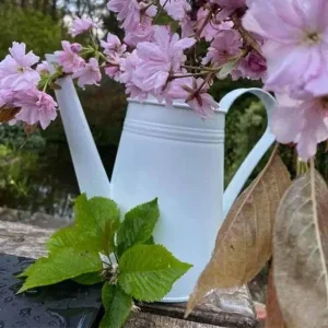 Záhradná krhla obohatená o kriedovú farbu Frenchic Al Fresco Peppermint